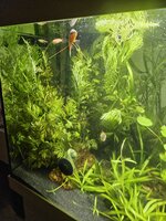 20231008_192231.jpg