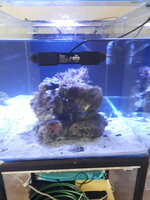 2021-10-14 10.19.38.jpg