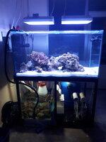 2021-10-15 19.33.51.jpg