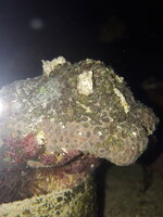 2023-10-16 23.38.18.jpg