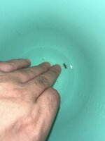 IMG_9245.jpeg