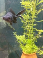 IMG_5449.jpeg