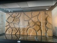 IMG_5683.jpg