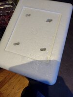 IMG_20240109_203506273.jpg