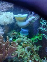 IMG_20240109_210708713.jpg