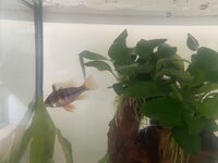 IMG_5982.jpeg