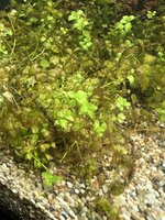 IMG_6023.jpeg
