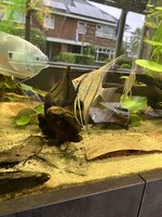 IMG_1237.jpeg