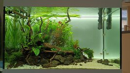 1_aquarium.jpg