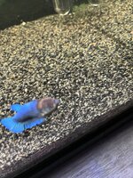 IMG_6573.jpeg