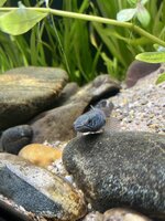 IMG_8625.jpeg