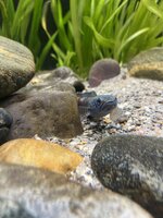 IMG_8622.jpeg