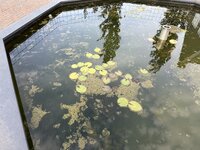 IMG_6803.jpeg