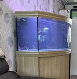 IMG_0535.jpeg