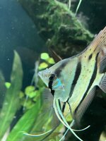 IMG_1457.jpeg