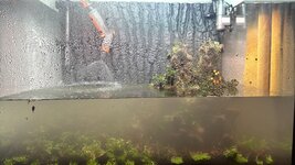 3F396744-939D-43E0-AB52-CA550E9D5593.jpeg