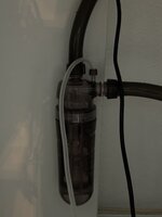 IMG_1984.jpeg