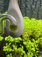 IMG_2028.jpeg