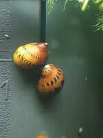 20240824_200241.jpg