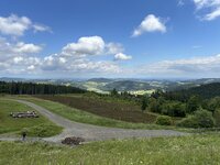 IMG_3120.jpeg