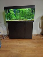 20241020_201305.jpg