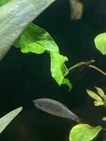 IMG_8756.jpeg