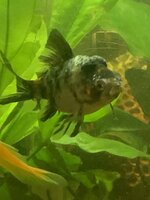 IMG_3892.jpeg