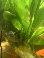IMG_3885.jpeg