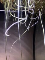 IMG_1578.jpeg