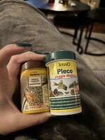 IMG_7826.jpeg