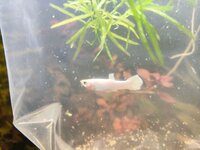 IMG_20241229_223130.jpg
