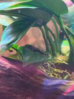 IMG_1535.jpeg