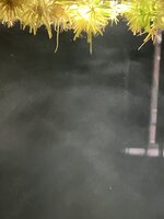 IMG_1964.jpeg