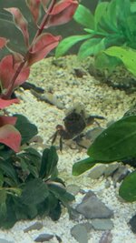 IMG_5872.jpeg