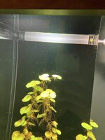 IMG_1984.jpeg