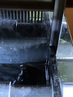 IMG_1983.jpeg