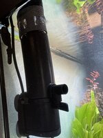 IMG_4905.jpeg