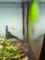 IMG_20250317_190307.jpg