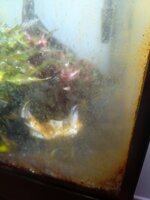 IMG_20250317_190311.jpg