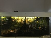 839F6B0B-E488-42DF-89CE-1D5FC71B66AD.jpeg