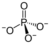 IMG_5097.png