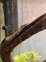 IMG_5239.jpeg