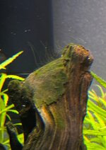 IMG_5556.jpeg
