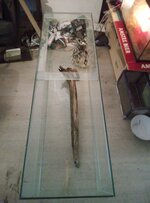 IMG_20250422_125506_495.jpg