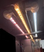 IMG_2070.jpeg