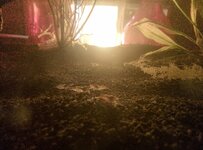 IMG_20250504_221509_673.jpg