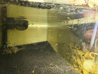 IMG_2231.jpeg