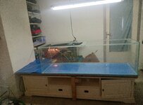 IMG_20250508_131854_585.jpg