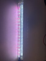 IMG_4206.jpeg