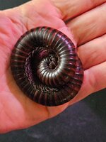 20250608_160239.jpg